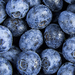 blueberries