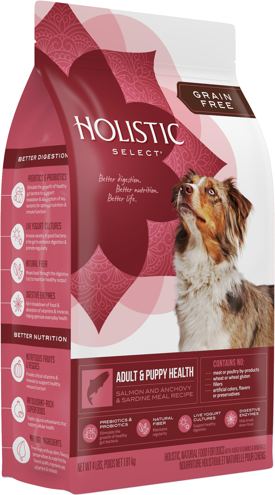 holistic dog food