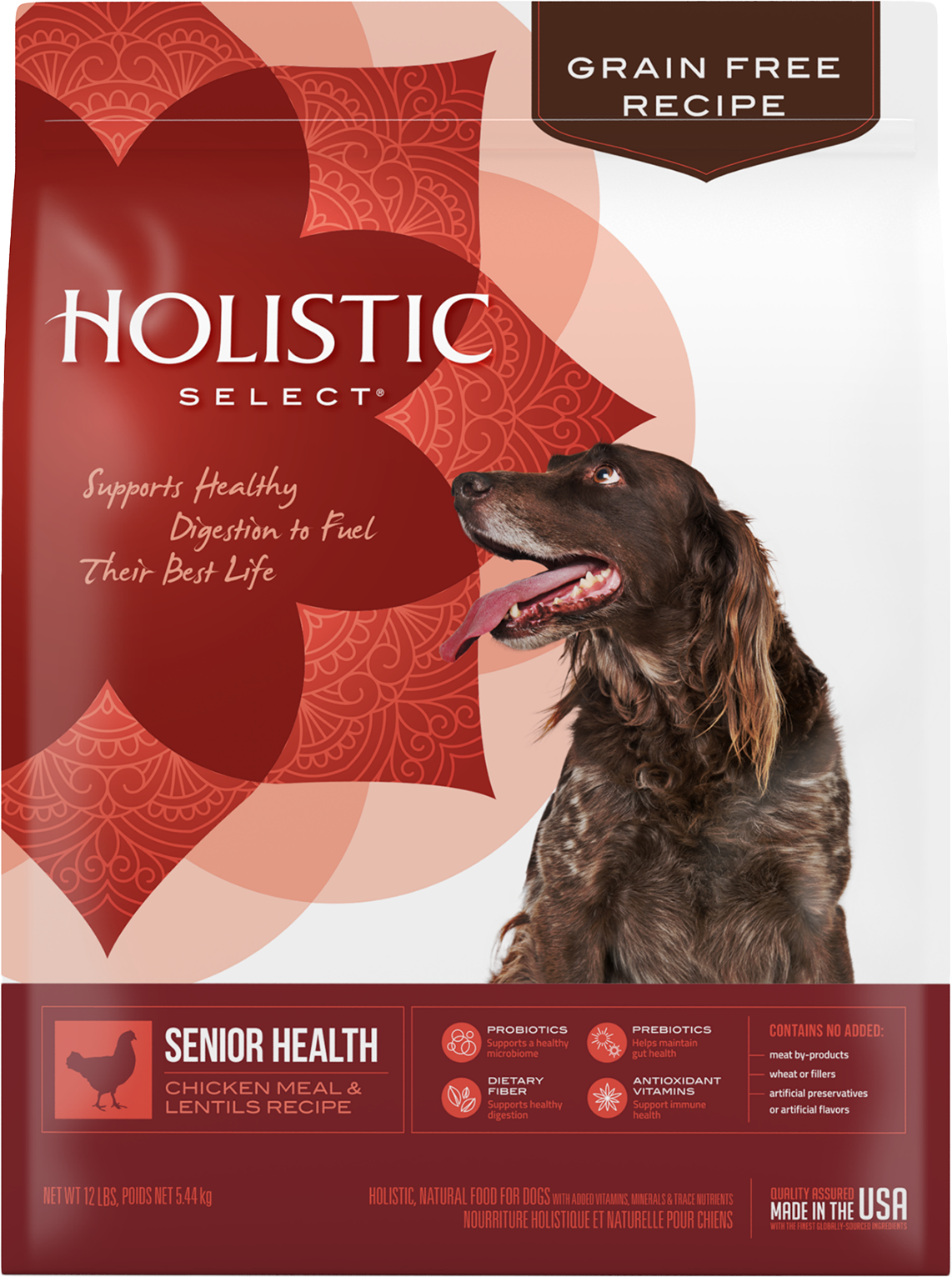 Precise holistic cheap senior dog food