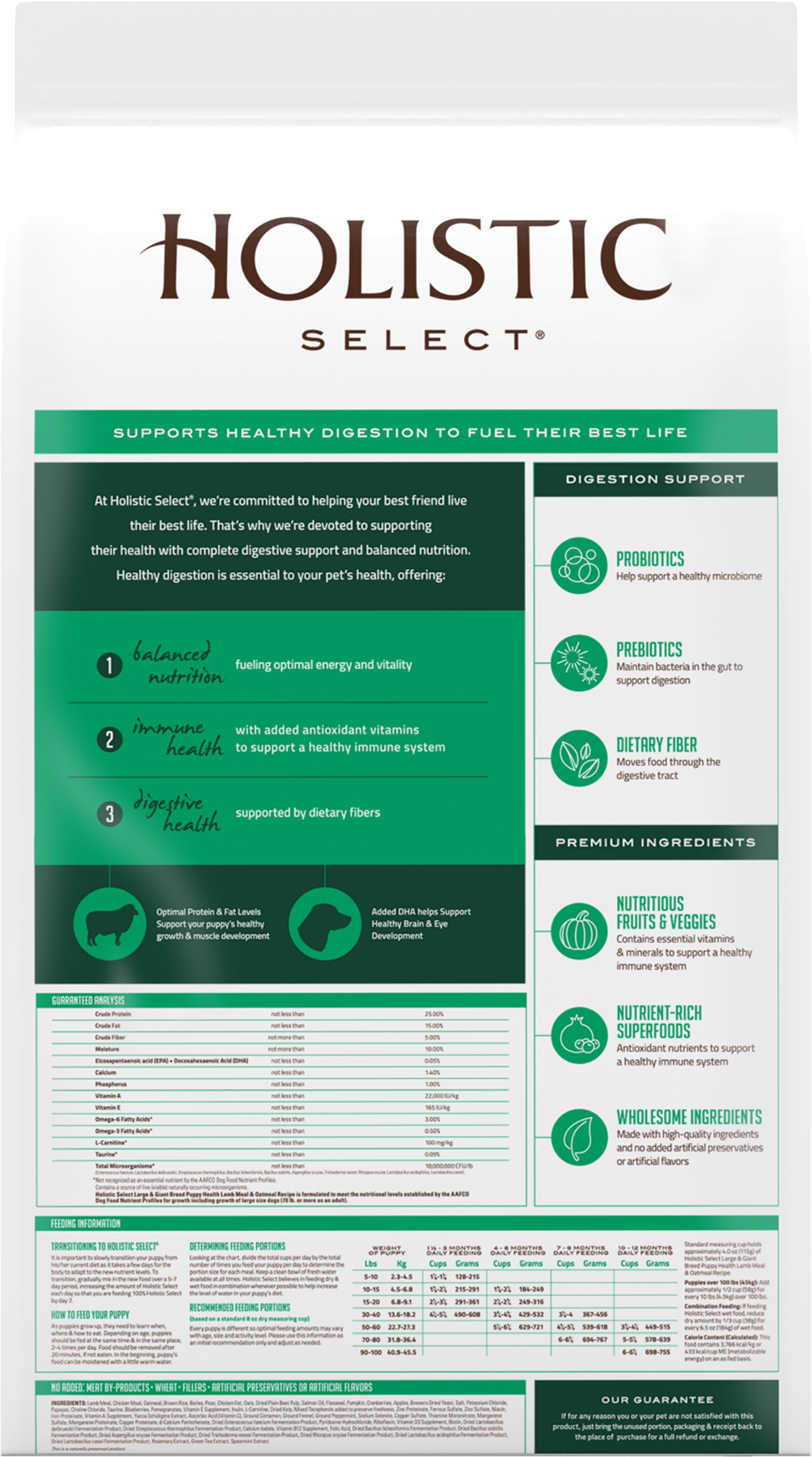 Holistic dog sales food feeding guide