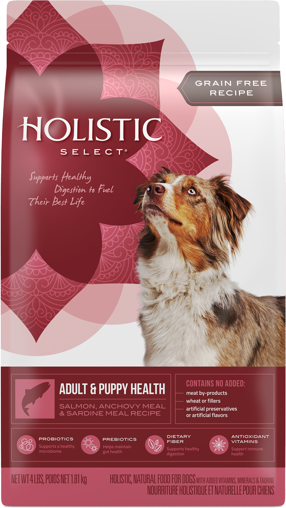 Holistic dog food discount