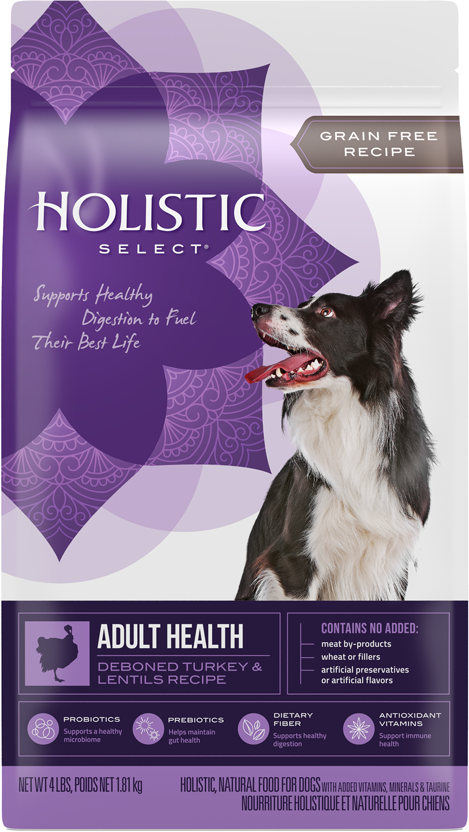 Holistic select cat discount food