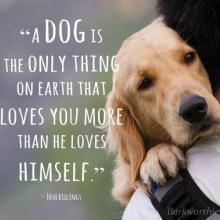 A dog is the only thing on earth that loves you more than he loves himself. - Josh Billings