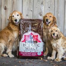 Three dogs sitting next to Holistic Select dog food